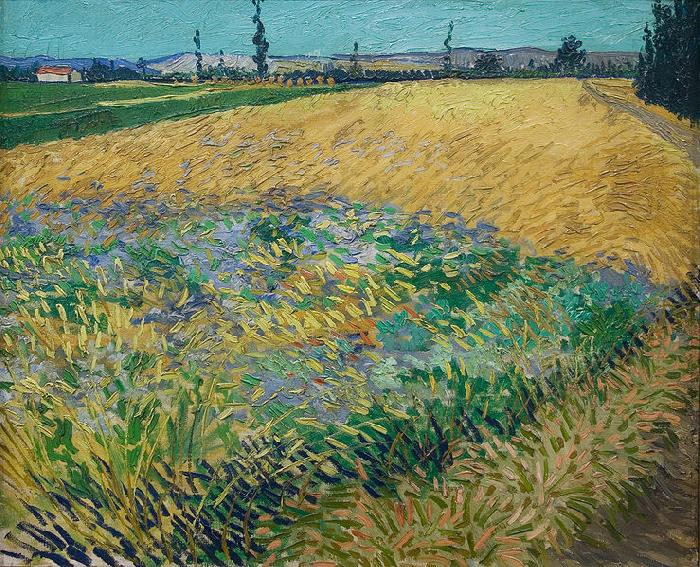 unknow artist Vincent van Gogh Wheatfield China oil painting art
